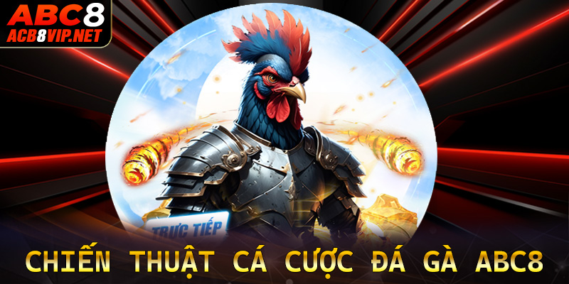 Chiến thuật cá cược đá gà abc8 hiệu quả nhất từ các đại cao thủ
